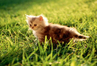 ​罕见重复率低的英文网名(精选113个)