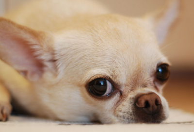 ​唯美意境女生网名(120个)