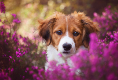 ​最吸引女人的网名(精选123个)