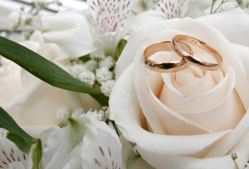 1711903488363866.png image.png