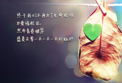 ​独爱一人的霸气句子 只钟情于一个人的句子