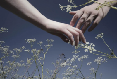 ​有关对爱情向往的句子(精选30句)