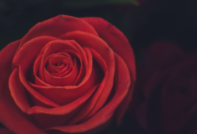 ​爱情中的酸甜苦辣各代表什么 形容酸甜苦辣生活的经典句子（精选推荐）