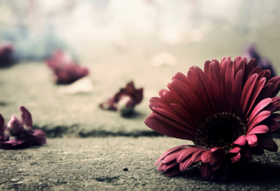 ​爱情短句唯美6字 个签爱情短句唯美(精选35句)