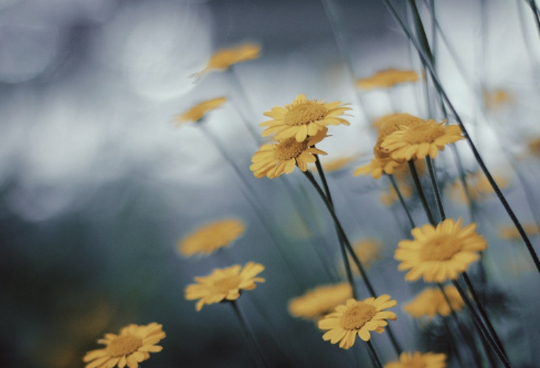 1711985467340126.png image.png