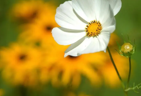 1711987794235633.png image.png