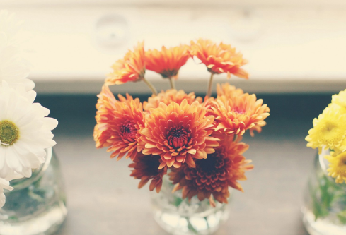 1711987960203153.png image.png