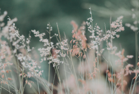 1711988127616454.png image.png