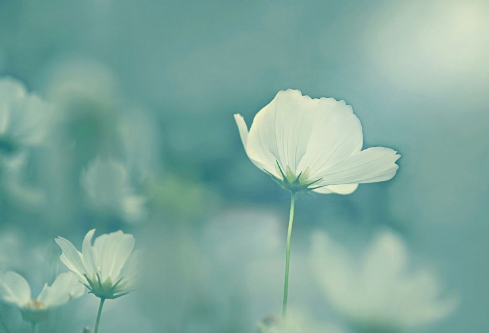 1712046567716178.png image.png