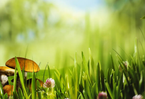 1712046900766847.png image.png