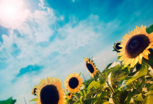 1712047067383251.png image.png