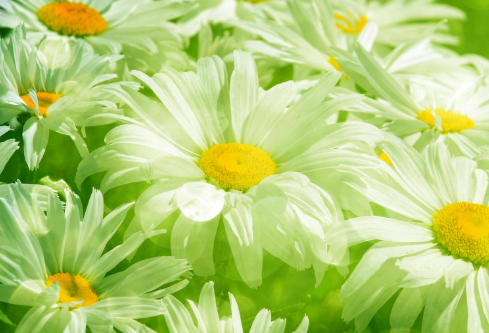 1712047898743001.png image.png