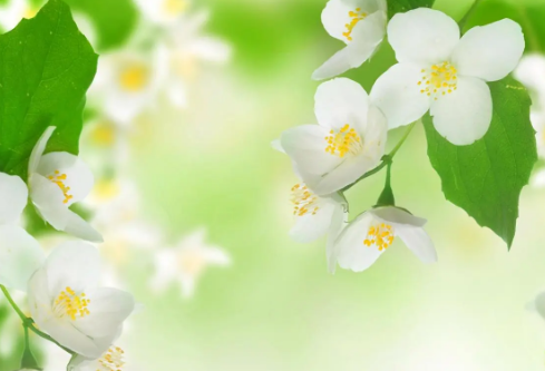 1712048230944875.png image.png