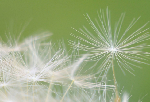 1712048895812608.png image.png