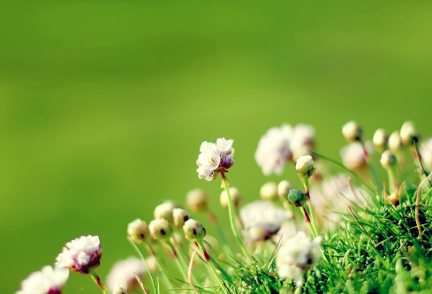 1712049393547542.png image.png