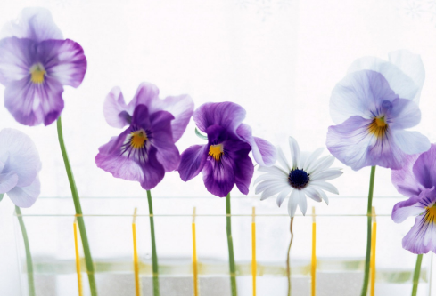 1712049559942432.png image.png