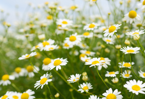 1712050889107914.png image.png