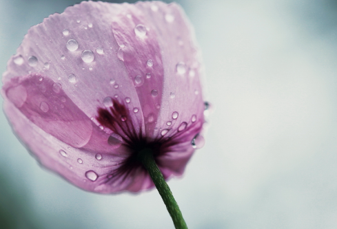 1712051553485033.png image.png