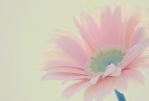 1712051719621450.png image.png