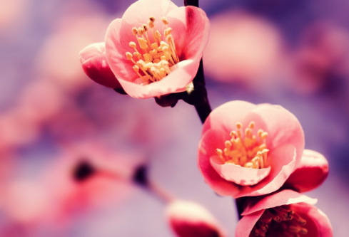 1712052549872351.png image.png