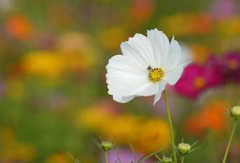 1712053545969116.png image.png