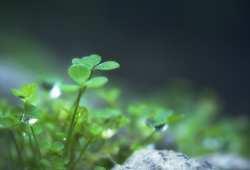 1712054044376304.png image.png