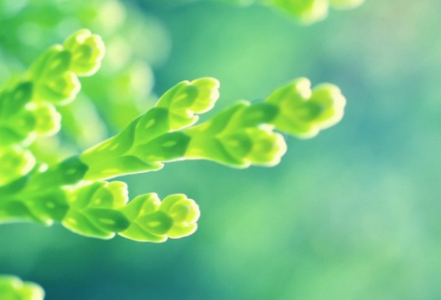 1712054376161187.png image.png