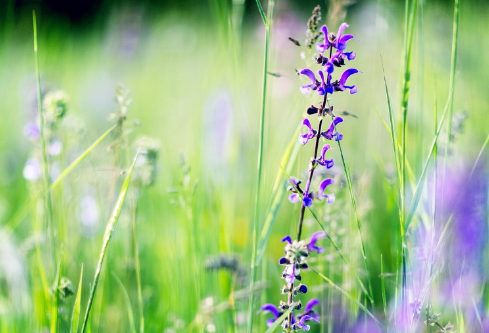 1712055539558754.png image.png