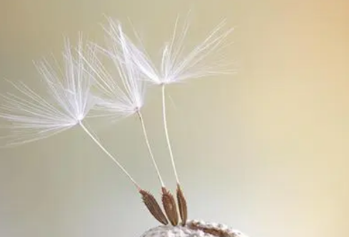 1712055872303004.png image.png