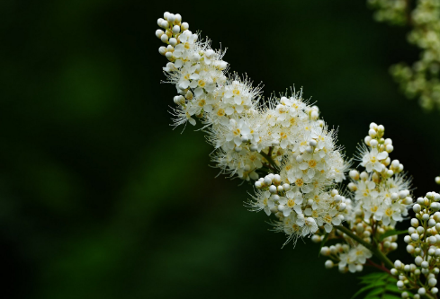 1712056038548130.png image.png