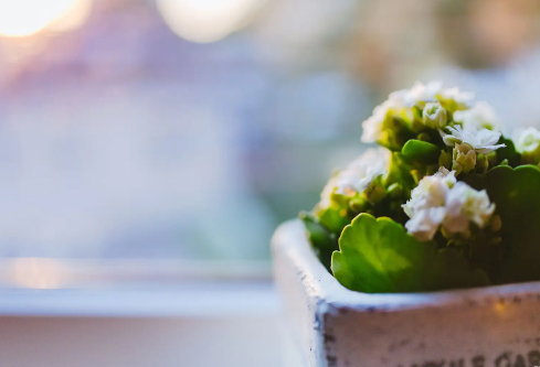 1712056370492428.png image.png