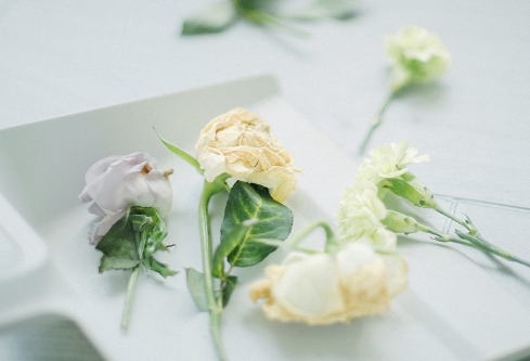 1712057367654715.png image.png