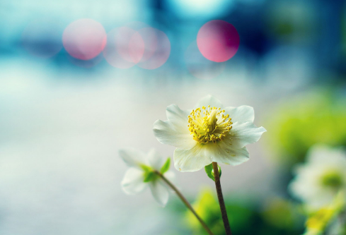 1712058030514136.png image.png