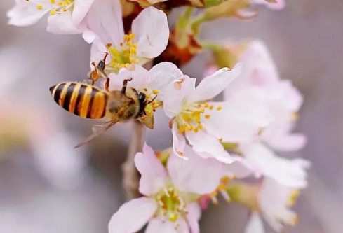 1712058196167775.png image.png