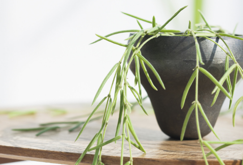 1712058362491670.png image.png