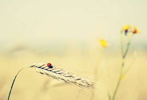 1712058861709054.png image.png