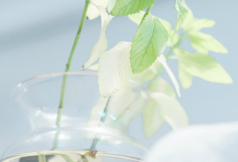 1712059691625059.png image.png