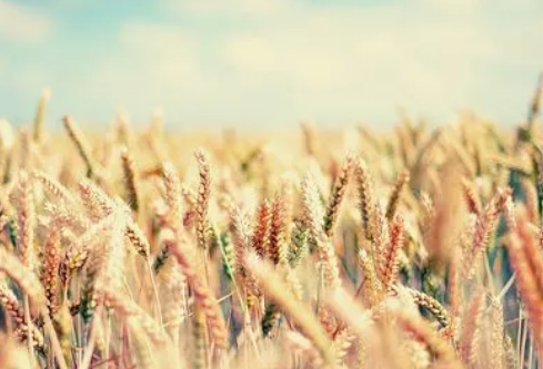 1712059858329785.png image.png