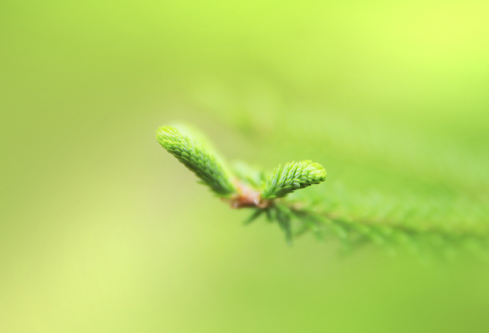 1712061187781695.png image.png