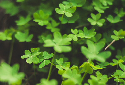 1712061353680594.png image.png