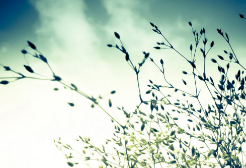 1712062018205081.png image.png