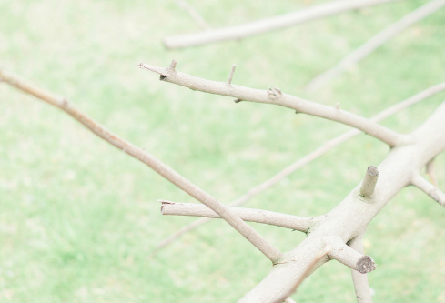 1712063181848849.png image.png