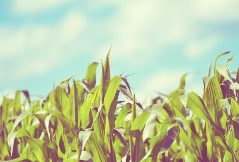 1712064179969419.png image.png