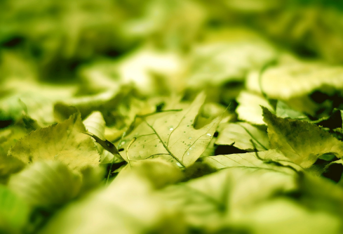 1712064345913662.png image.png