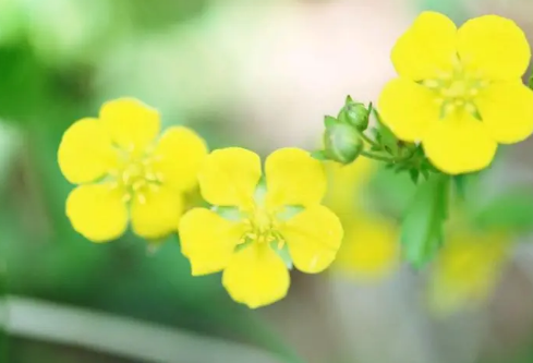 1712065676601550.png image.png