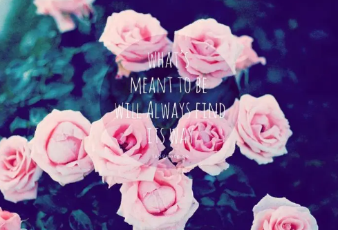 1712065842340544.png image.png