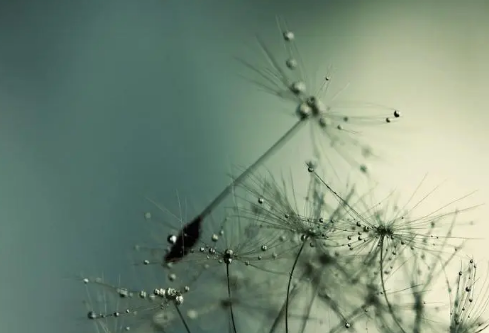 1712066008228002.png image.png