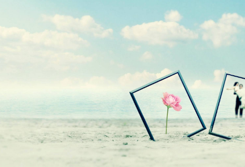 1712066175246515.png image.png