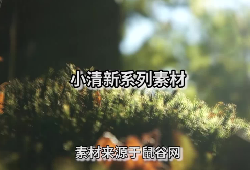 1712067172960619.png image.png