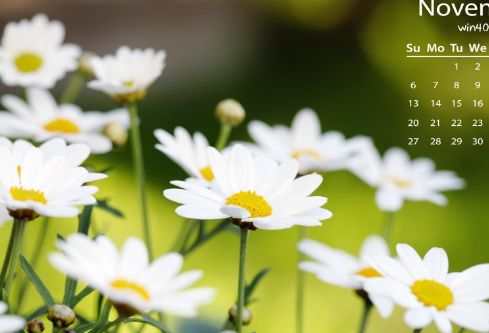 1712068171680672.png image.png